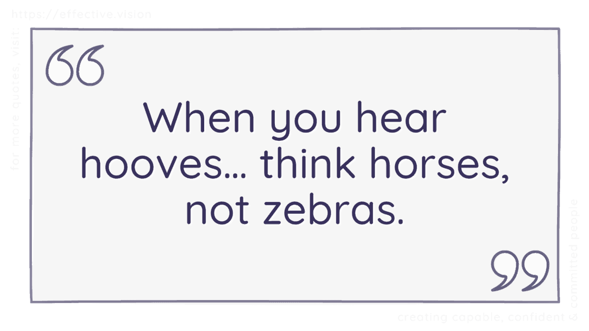When you hear hooves… think horses, not zebras effective vision